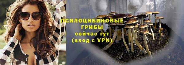 MDMA Premium VHQ Богородицк